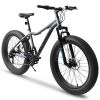 Ecarpat 26 Inch Fat Tires Mountain Bike, 4-Inch Wide Wheel, 21-Speed Disc Brakes, Mens Womens Trail Beach Snow Commuter City Mountain Bike, Carbon Ste