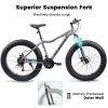 Ecarpat 26 Inch Fat Tires Mountain Bike, 4-Inch Wide Wheel, 21-Speed Disc Brakes, Mens Womens Trail Beach Snow Commuter City Mountain Bike, Carbon Ste