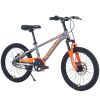 ZUKKA Mountain Bike,20 Inch MTB for Boys and Girls Age 7-10 Years,Multiple Colors
