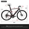 A28314 700c Ecarpat Road Bike, 14-Speed Shimano Disc Brakes, Light Weight Aluminum Frame ,Racing Bike City Commuting Road Bicycle for Men Women